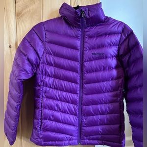 Marmot puffer
